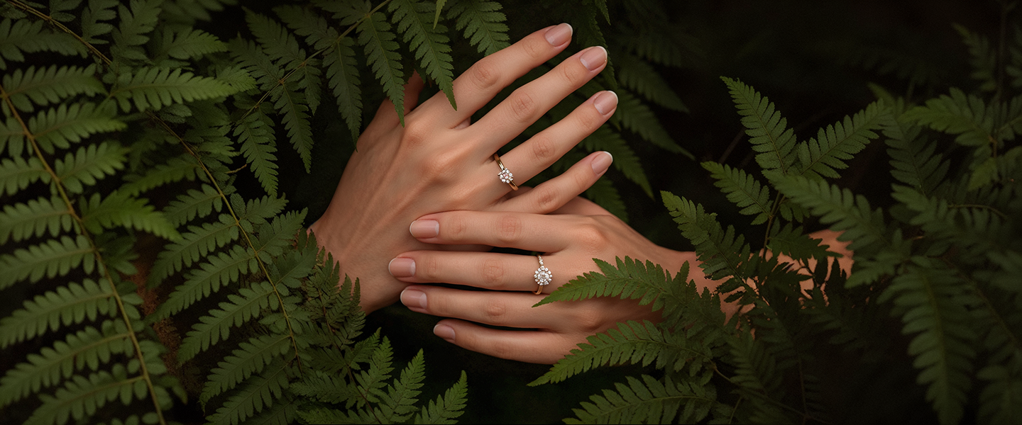 Коллекция Sardana